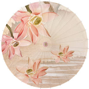 【荷花】油纸伞古风防雨防晒实用桐油传统纯手工复古道具古典舞蹈