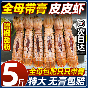皮皮虾鲜活一名超大全母带膏虾姑虾婆虾爬非即食琵琶虾海鲜水产