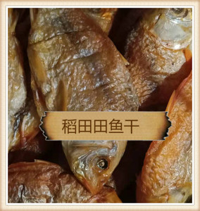 稻花鱼多少钱一斤图片