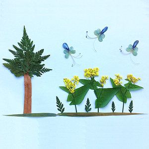 贴画真树枯树叶真天然叶子材料包树叶画枯叶材料真卡片梧桐叶标卅