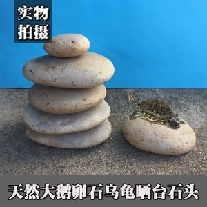 乌龟晒台石头天然鹅卵石超大鱼缸观景石扁平造景爬石台浮岛晒背台