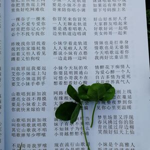 民间山歌四句情歌歌词男女对唱加厚书籍云南 四川 湖南 贵州适用