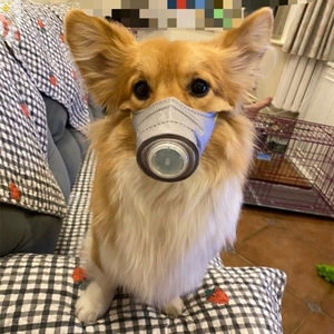 狗狗口罩小狗用小型犬遛狗专用.宠物嘴罩嘴套防咬狗狗用品