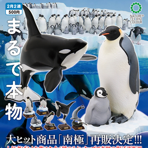 现货奇谭俱乐部IKIMON南极生物摆件企鹅虎鲸海洋动物日本扭