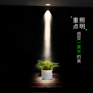 一束光聚光射灯嵌入式led酒吧洒柜展柜小角度5小光束角氛围天花灯