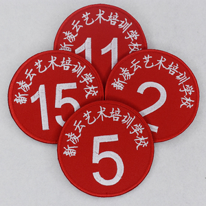 定做舞蹈比赛考级号码牌学校名称名字布贴别针刺绣编号模特胸牌