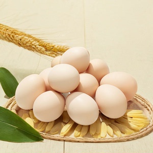 【雷珏】新鲜土鸡蛋农家散养正宗草鸡蛋笨柴鸡蛋柴鸡蛋20枚整箱