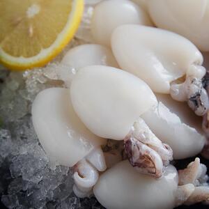 深海小墨鱼仔新鲜冷冻海鲜墨斗鱼鲜墨鱼海兔子冰冻包邮目鱼海鲜