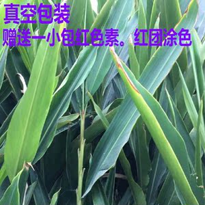 包邮莆田红团用叶红团叶年糕叶粿叶艳山姜桂焦现摘叶子1件250g