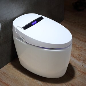 金牌卫浴智能马桶