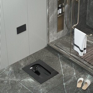 金牌卫浴蹲便器