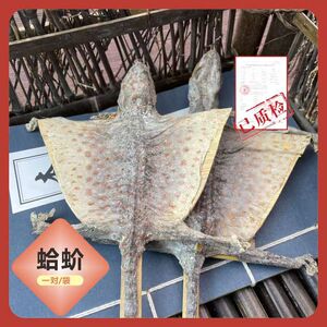 蛤蚧干货蛤蚧一对中药饮片补肺益肾纳气定喘助阳益精泡酒中药材