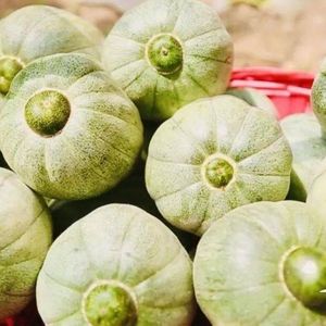 巴盟灯笼红正宗甜瓜香瓜五原特产香甜可口新鲜孕妇水果蜜瓜包邮