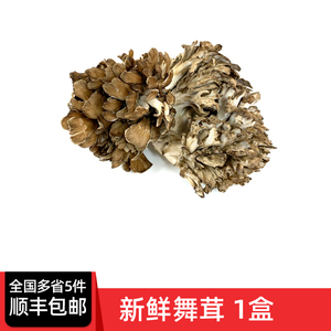 新鲜舞茸150g 食用菌灰树花 日本舞茸 舞菇 全国多省5件包邮