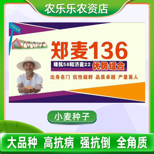 郑麦136旱地可种抗倒伏抗冻原种高产品种小麦种子角质优质麦白