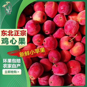 东北鸡心果锦绣海棠果农家自种特产孕妇小苹果糖心1-5斤吉林包邮