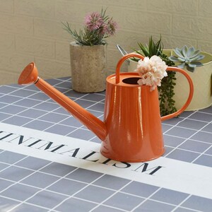 洒水壶浇花儿童