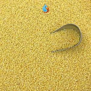 初夏乌食鸟饲料鹉稗子鸟食黍子黄雀粮食虎皮鹦鹉黄小米营养鸟用米