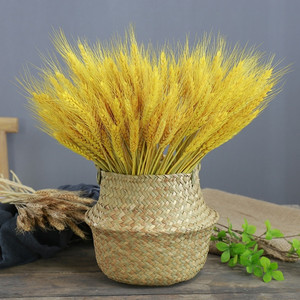 黄金大麦插花瓶天然麦穗干花花束开业田园装饰摆件拍摄道具寓意卖