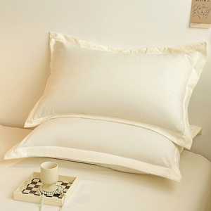 白色磨毛枕套单个一对装简约枕头套单人48x74cm加厚大人40x60一只