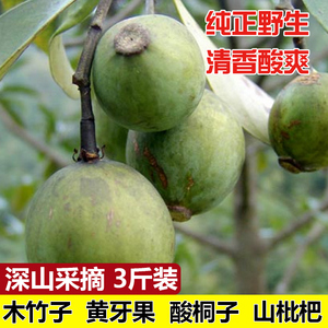 广西新鲜野生木竹子果黄牙果酸桐子岭南山竹桔子山枇杷3/5斤酸爽