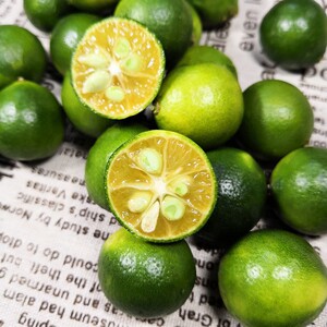 新鲜皮薄多汁小青柠海南小金桔青金桔柠檬免邮 奶茶水果5斤
