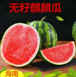 海南无籽西瓜