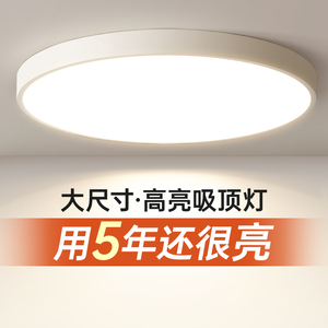 超大尺寸圆形主客厅灯吸顶灯80CM1米直径简约现代大气led超亮灯具