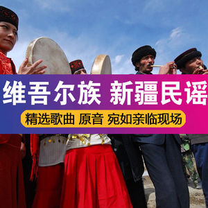 新疆民歌民谣维吾尔族歌曲老歌车载u盘维语流行歌曲mp3音乐1095首
