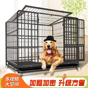 【狗笼子马犬专用小型】狗笼子马犬专用小型品牌,价格 - 阿里巴巴