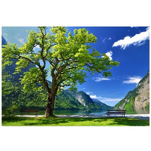 大自然山水风景海报森林草原大海沙滩壁画壁纸卧室客厅背景墙贴画