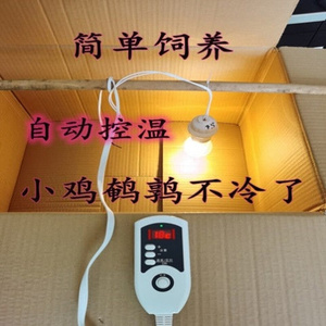 育雏保温箱小鸡控鸡舍恒温箱加温灯具化保暖鸡仔观察i控温器鸭小