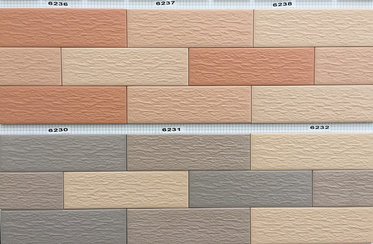 60x200陶瓷砖三色砖拼色砖混色仿古龙图案外墙砖龙形复古装饰砖片