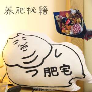 肥宅快乐水抱枕