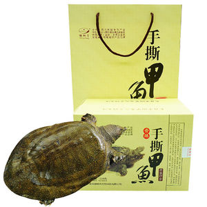 湖南汉寿特产