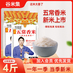 谷米集五常香米3斤东北大米10斤黑龙江大米2023年新米长粒香大米