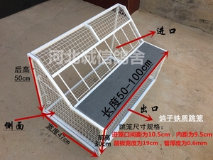 鸽子跳笼 信鸽赛鸽用品用具 鸽棚鸽舍进口 只进不出跳笼 放飞笼门