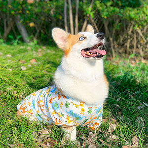 柯基专用衣服夏季薄款中型犬夏天透气居家睡衣防掉毛宠物狗狗夏装