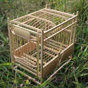 黄豆鸟鸟笼套箱