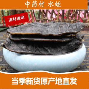 水蛭水蛭干金边宽体吊笼清水蚂蟥中药材蚂蟥干500克g包邮