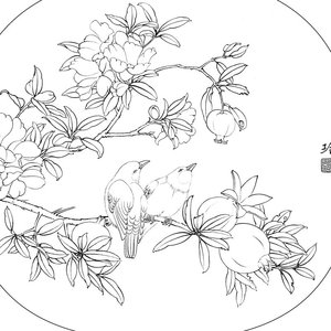 22工笔画打印白描底稿郑玲玲圆形花鸟石g榴团扇有步骤图初学者临