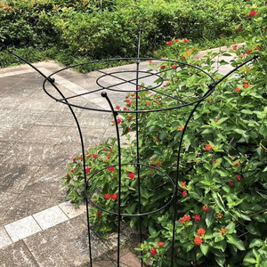 昙花架铁艺户外绣球x蓝雪花月季花架爬藤架子支撑架固定花支架植