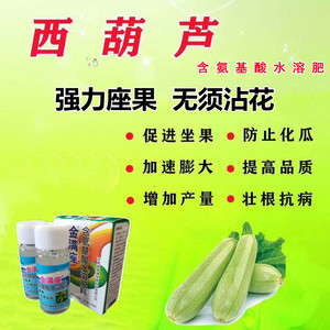 西葫芦沾花药拉直增瓜灵苦瓜丝瓜蘸花点花药保花保果专用授粉药