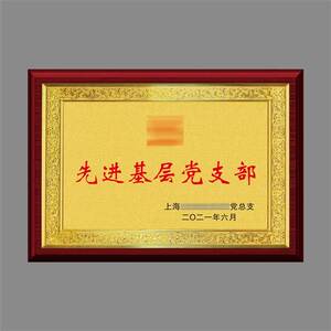 党支部铜牌