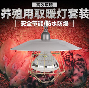 保温灯灯罩套装小鸡育雏猪用取暖养殖设备耐磨雏鸡大棚可调金属