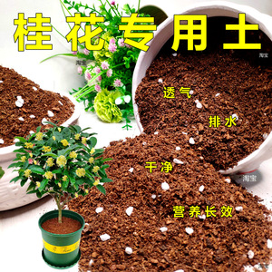 桂花专用土大型绿植树苗通用型营养土养花盆栽弱酸性培植土壤特价