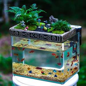水族箱玻璃造景免换水超白水陆缸家用桌面养鱼缸苔藓微景观成品