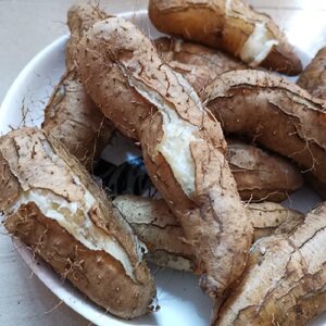 海南特产正宗农家新鲜毛薯粉糯甜山药白心甜薯现挖当季淮山山芋