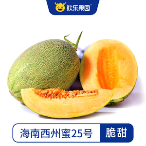 海南西州蜜25号哈密瓜5斤装 新鲜水果脆甜蜜瓜西州密当季整箱包邮