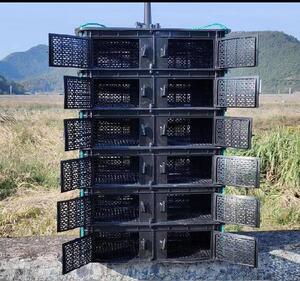 沥水e新款多层v围板塑料盒青蟹海水养殖g箱框子收纳盒设备箱